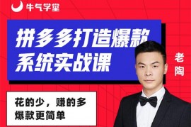 老陶《拼多多打造爆款系统实战课》