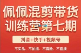 佩佩《短视频混剪带货训练营第七期》