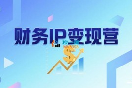 有有《财务IP变现营》