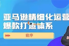 董海温《亚马逊精细化运营爆款打造体系》