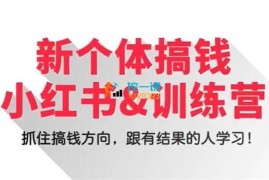 圣杰《新个体搞钱小红书训练营》
