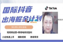 火鸡哥《TK短视频跨境出海》