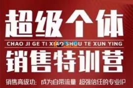 众筹：卷卷·超级个体销售特训营