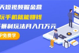 15天短视频掘金营：会玩手机就能赚钱，新手暴利玩法月入几万元