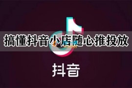 飞哥《随心推实操训练营》