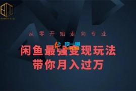 比镜淘《闲鱼最强变现玩法》