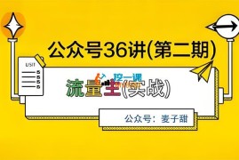 麦子甜《公众号36讲第二期》