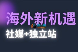 棕榈《2025出海新机遇社媒+独立站》
