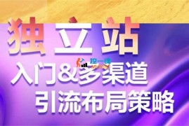 南溪《独立站入门多渠道引流布局策略》
