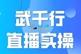 武千行《直播实操课》