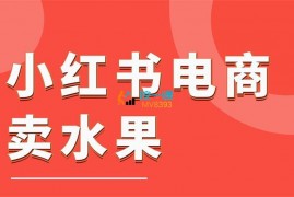 阿本《小红书电商卖水果月入1W+》