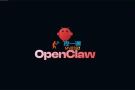 麦子《openclaw一键安装教程》