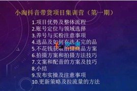 小淘《抖音带货项目集训营第一期》