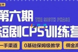 盗坤《短剧cps训练营第六期》