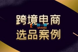 阿甘《跨境电商选品案例》