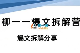 柳一一《爆文拆解营》
