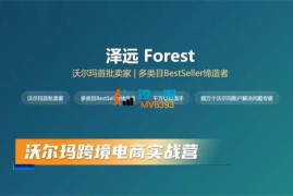 泽远《沃尔玛跨境电商实战营》