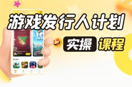 彬哥《游戏发行人计划教学》