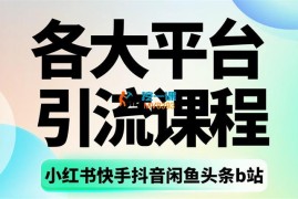 星耀联盟《各大平台引流课程最新9.0》
