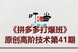 叮当会《拼多多小爆款矩阵》