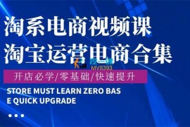 周伟《淘宝运营电商合集》