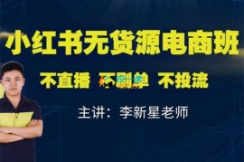 众筹：李新星·小红书无货源电商班