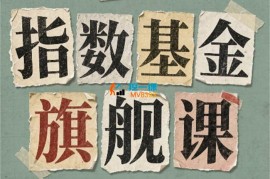 某大佬《指数基金旗舰课》