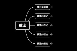 蚊子团队《引流截流技术＋百度被动引流系统2.0》