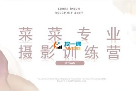 菜菜《手作摄影训练营2025》