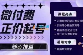 吹吹《微付费正价起号随心推篇》