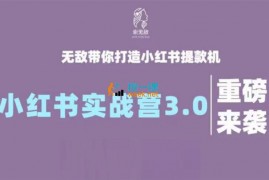 谢无敌《小红书实战营3.0》