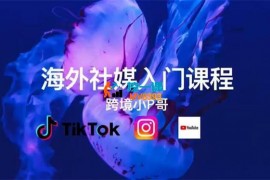跨境小P哥《海外社媒运营课》