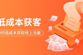 素宣《低成本获客变现营》
