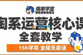 爆单学堂《淘系运营核心课全套教学》