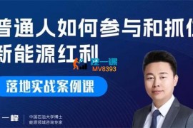 马一峰《普通人如何参与和抓住新能源红利》