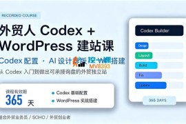 某博主《外贸人Codex+WordPress建站课》