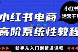 小毅哥《小红书电商高阶系统教程》