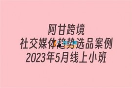 阿甘《社交媒体趋势选品案例》