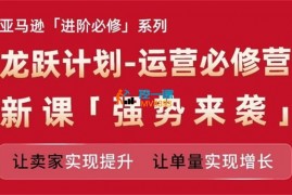 江小鱼《龙跃计划运营必修营》