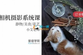众筹：小艾·静物美食花艺相机摄影系统课