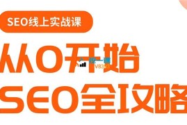 若凡《谷歌SEO实操课》