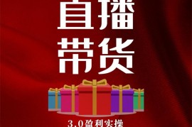 锡恩《直播带货3.0盈利实操课》