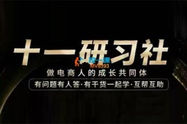 十一研习社《AI短视频挂车特训营》