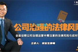 宋俊生《公司治理的法律风险》