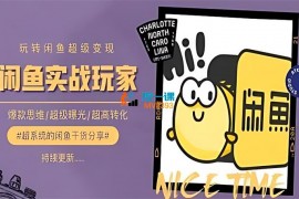 老谢《手把手教你0到1系统玩转闲鱼变现》