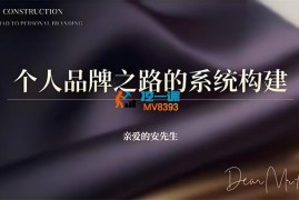 安先生《AI个人品牌之路》