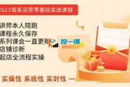雨哥《淘系电商课程0基础实战教学》