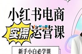 大晴《1V1小红书电商实操课》