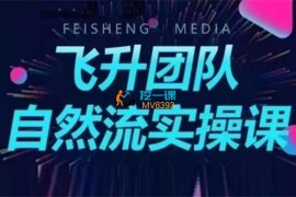 飞升团队《自然流实操课》