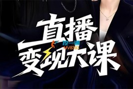 婉婉群响陈晶《直播变现大课杭州10月25-26日》